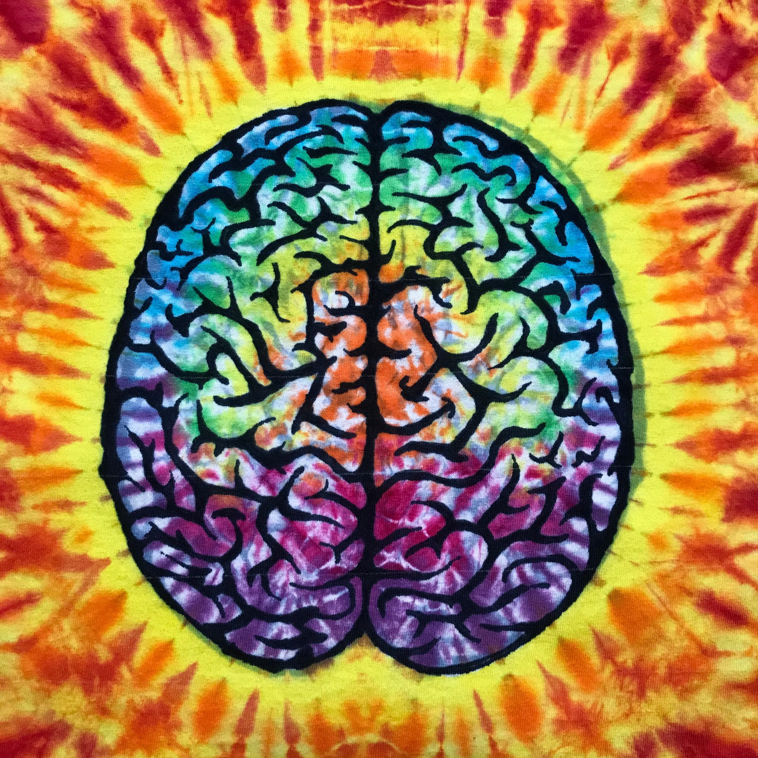 Adult Medium Tie-Dye Rainbow Brain Tee in Fire Colors