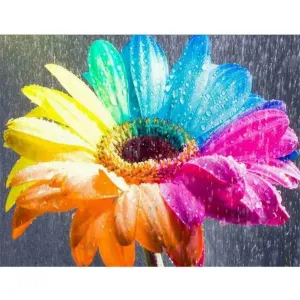 Colorful Flower - Full Diamond Painting - 40x30cm