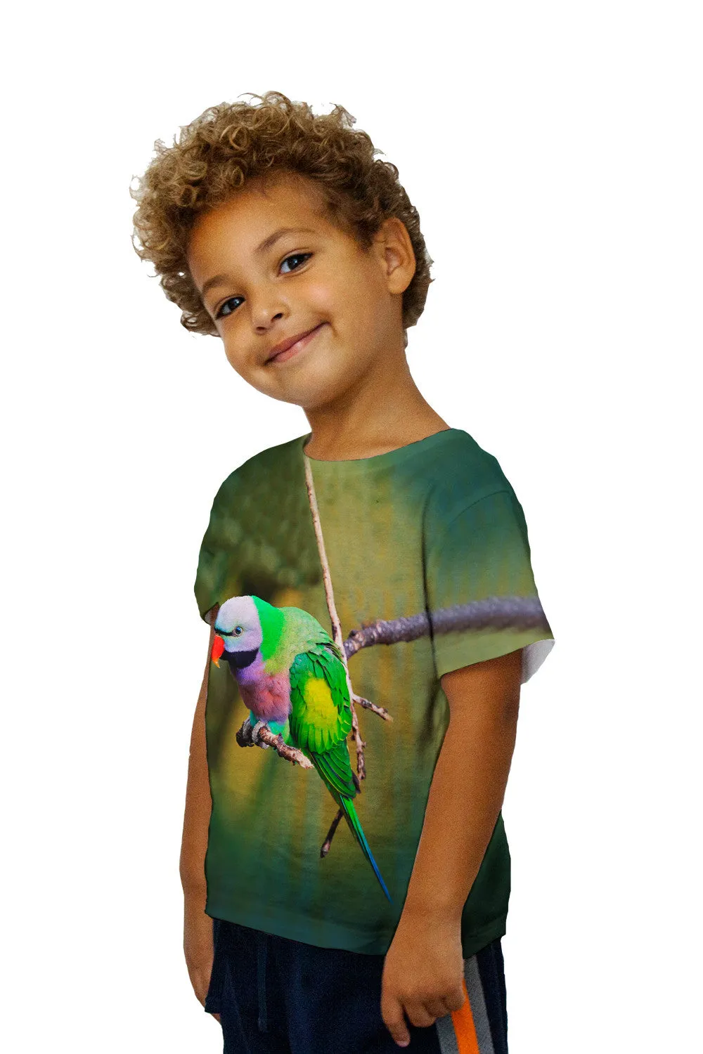 Kids Colorful Derbyan Parakeet