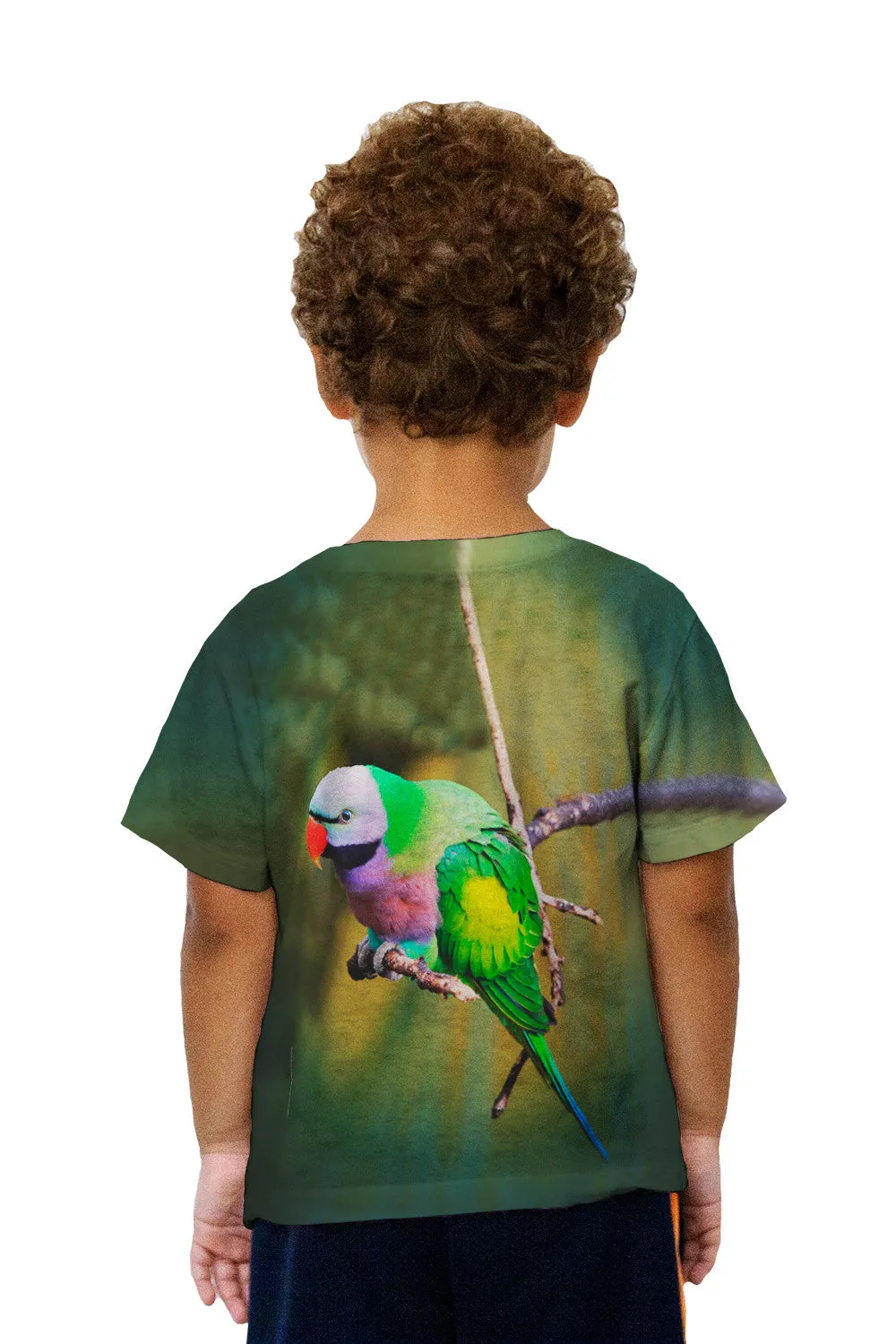 Kids Colorful Derbyan Parakeet
